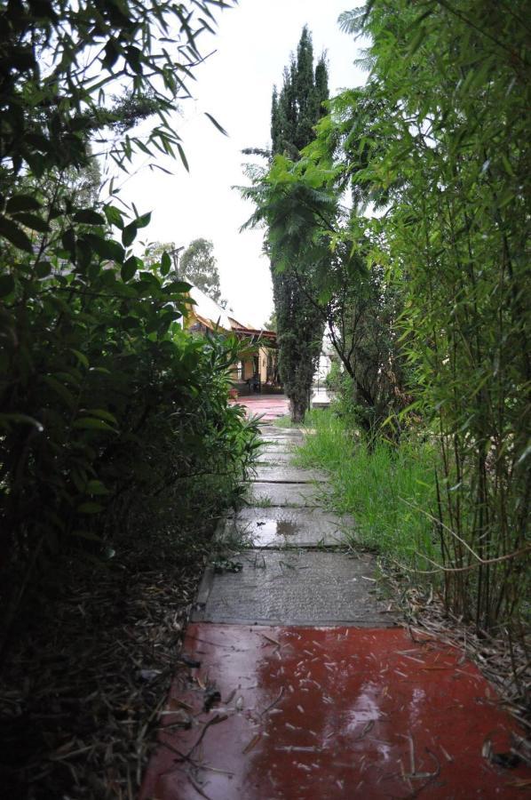Posada Morelos Zacatecas Zewnętrze zdjęcie